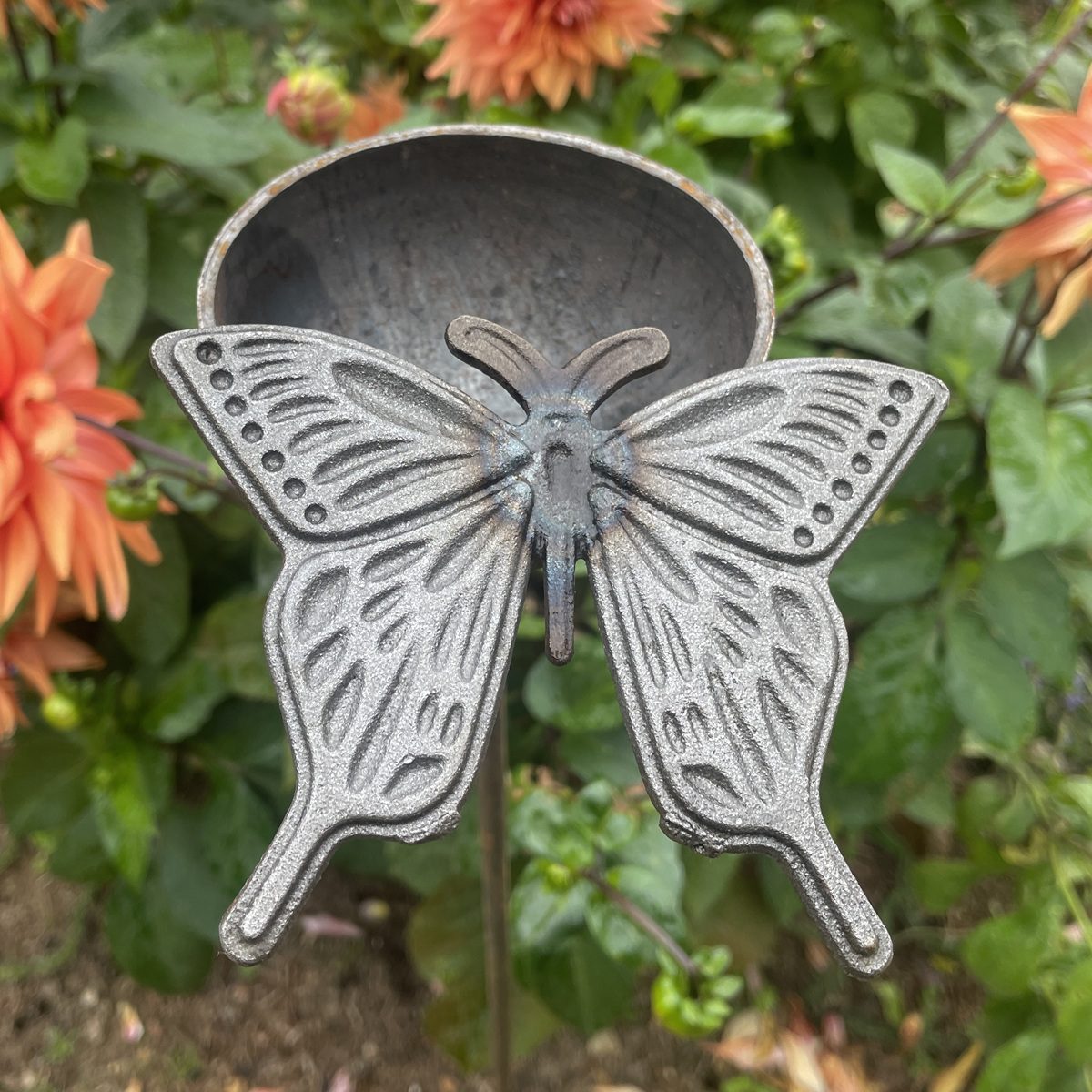 Bee Drinker Bee Cup Stake Ornament for Garden Wildlife – Butterfly 1 5061098722293